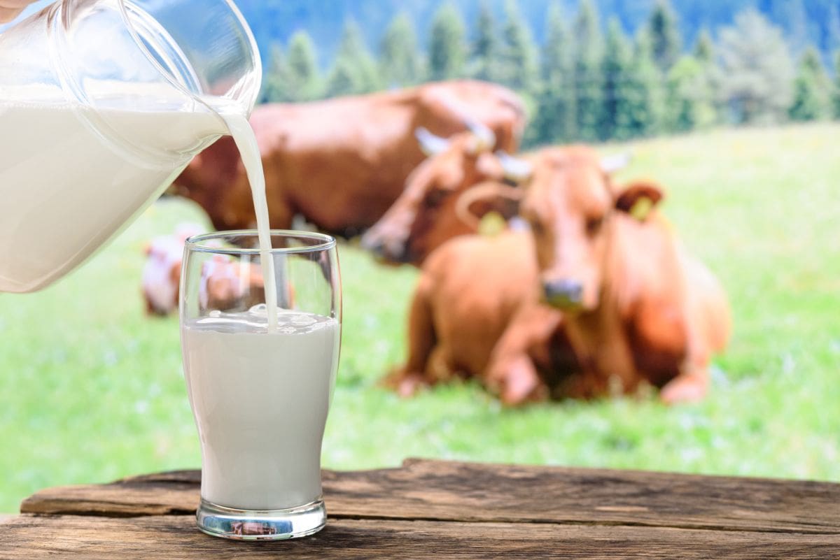 Calcium-rich plant foods including greens and tofu