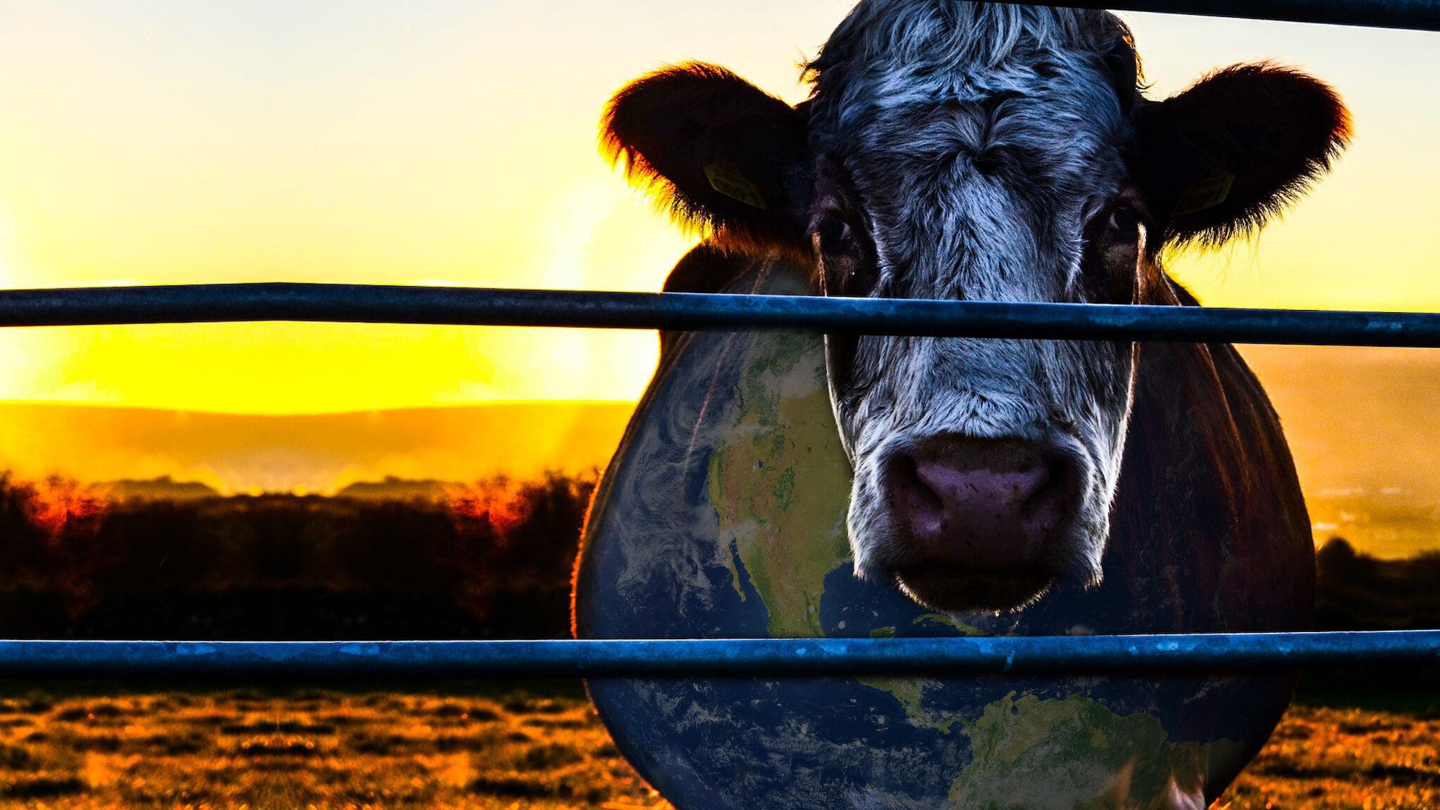 Cowspiracy (2014) film poster