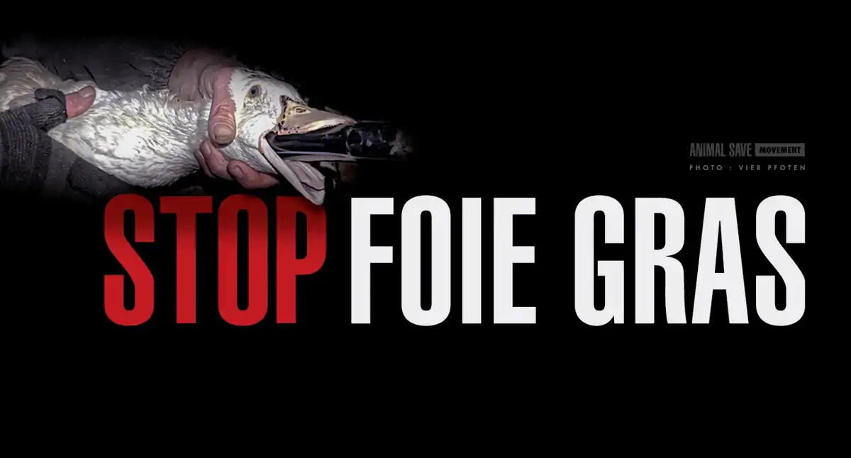 Save Movement banner calling to ban the sale of foie gras